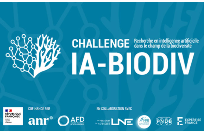 L’intelligence artificielle au service de la biodiversité marine : démarrage d’un challenge scientifique international inédit