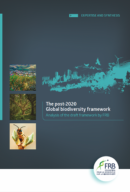 The post-2020 Global biodiversity framework – Analysis of the draft framework by FRB