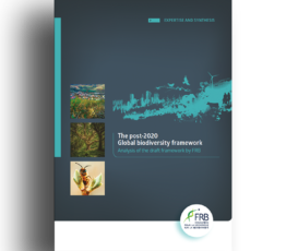 The post-2020 Global biodiversity framework – Analysis of the draft framework by FRB
