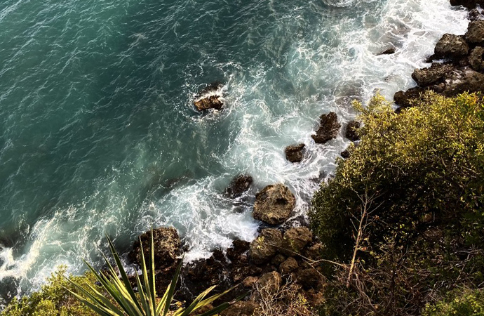 [Journée FRB 2022] Vous reprendrez bien un peu de CDB ? Un regard de la recherche sur le cadre mondial pour la biodiversité