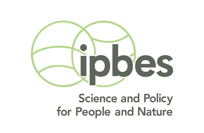 FRB_logo-Ipbes