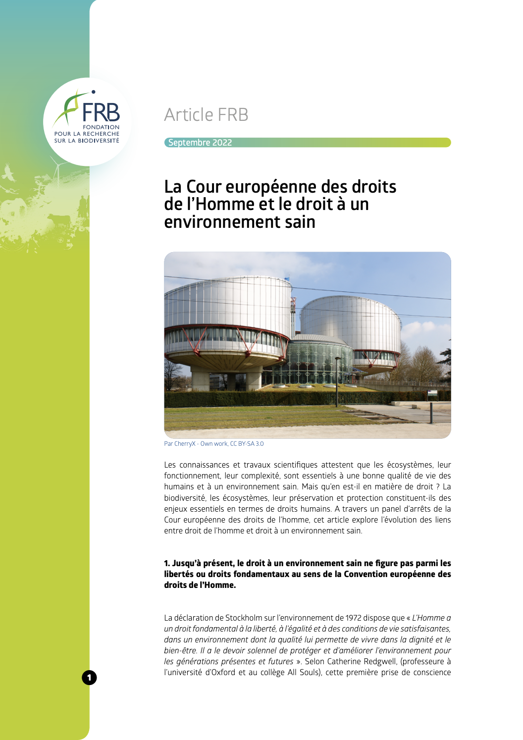 La Cour européenne des droits de l’Homme et le droit à un environnement sain