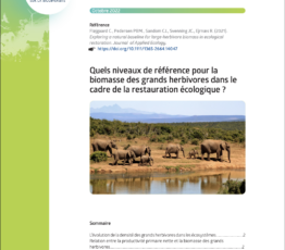 Quels niveaux de référence pour la biomasse des grands herbivores dans le cadre de la restauration écologique ?