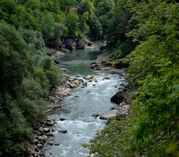 [Appel à relecture – Ipbes] Évaluation “nexus” sur les liens entre biodiversité, eau, alimentation, santé, énergie et climat 2024