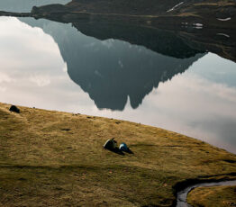 [Appel à projet Programme FRB – Scenario #2] Vivre “bien” en 2050 ou au-delà, dans son territoire : quels socio-écosystèmes et quelles places pour la biodiversité ?