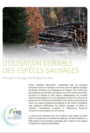 Utilisation durable des espèces sauvages – Les principaux messages de l’évaluation Ipbes