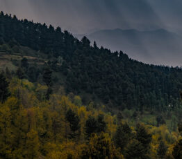 [Appel à relecture – Ipbes] Évaluation «monitoring »