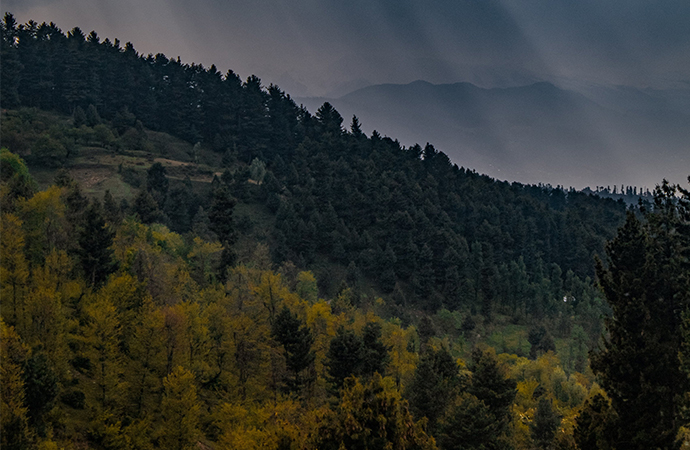 [Appel à relecture – Ipbes] Évaluation «monitoring »