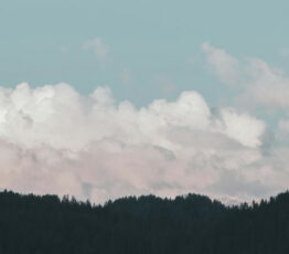 [Appel à candidatures] En vue de compléter le conseil scientifique de la FRB