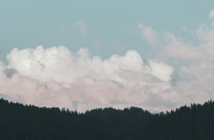 [Appel à candidatures] Nouvelle mandature du conseil scientifique de la FRB