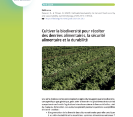 Cultiver la biodiversité pour récolter des denrées alimentaires, la sécurité alimentaire et la durabilité