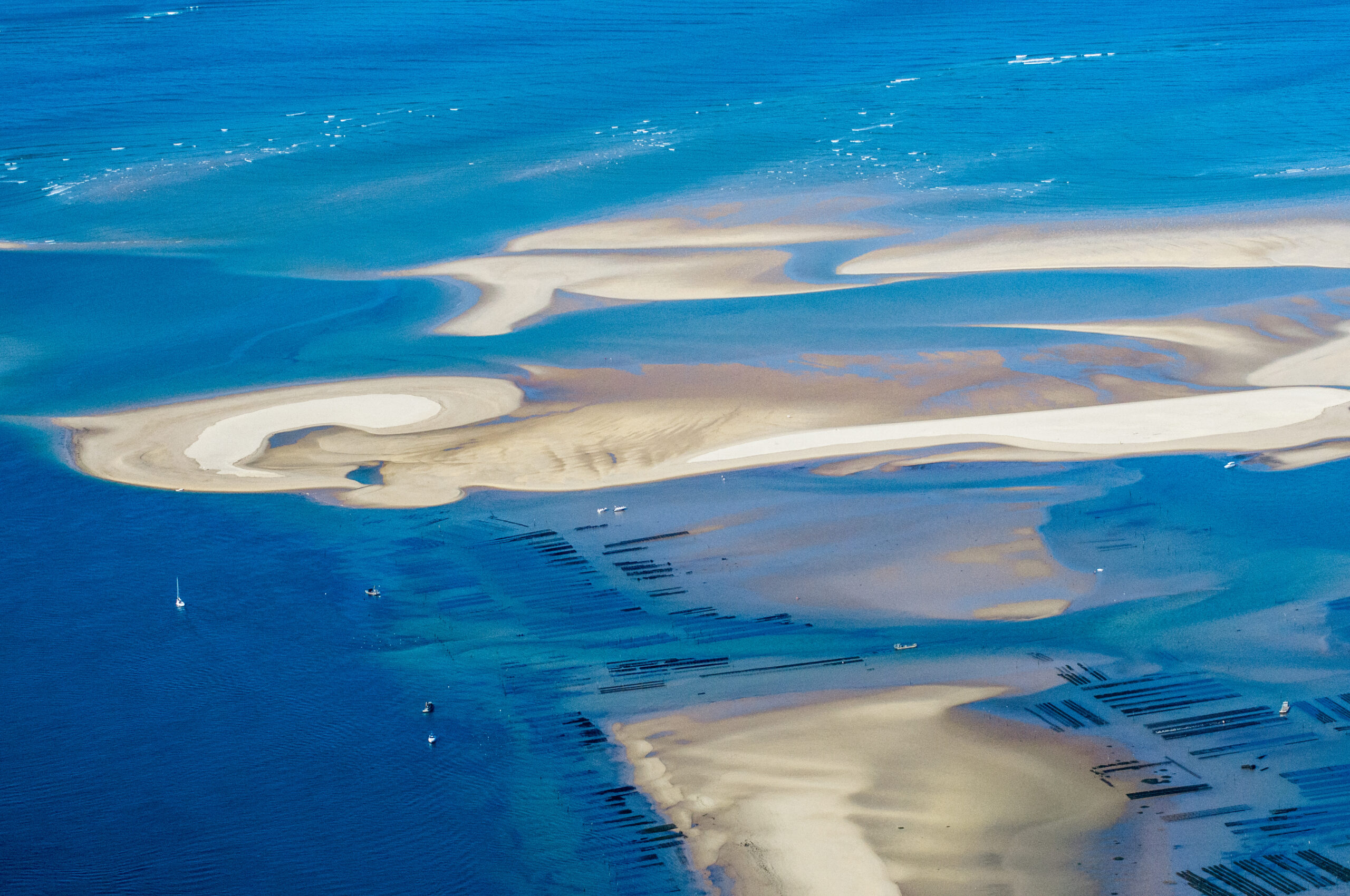 [Journée FRB 2024]  L’océan du futur : Des impacts aux réponses pour un océan sain 