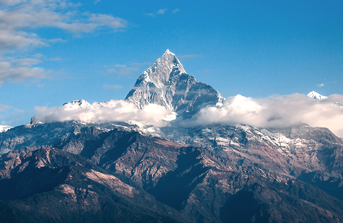 [Biodiversité et changement climatique]  Mieux comprendre la redistribution du vivant pour mieux anticiper l’avenir