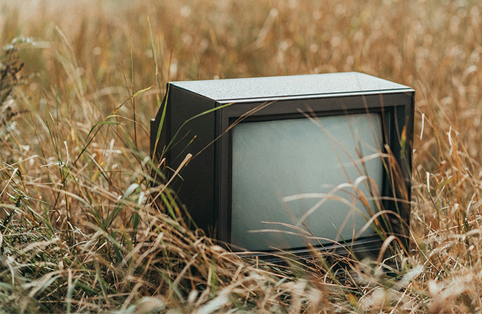 L’émergence de la biodiversité à la télévision française de 1992 à 2009