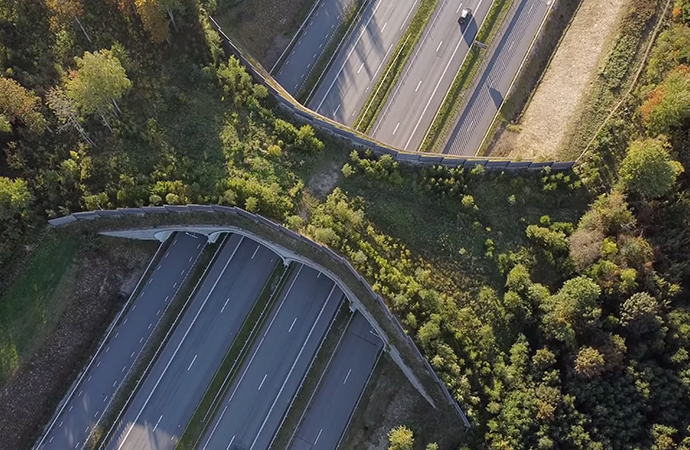 [IENE] Le réseau lance le “Guide en ligne de la biodiversité et des infrastructures”