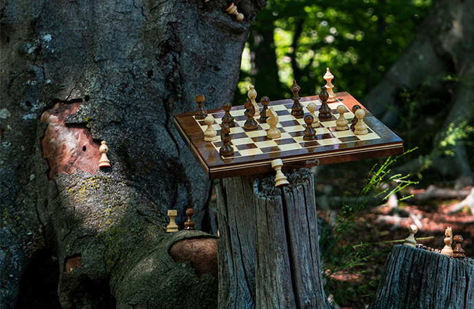 Enjeux de gouvernance : pouvoirs, justice bleue, places des parties prenantes… Les nouveaux défis de la transition écologique