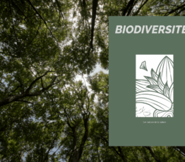 Biodiversité ! Les valeurs de la nature