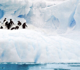 Rencontres Ipbes-Giec 2024