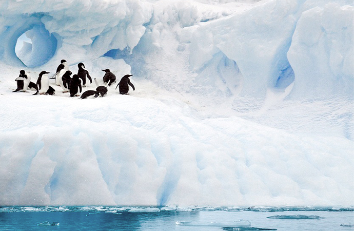 Rencontres Ipbes-Giec 2024