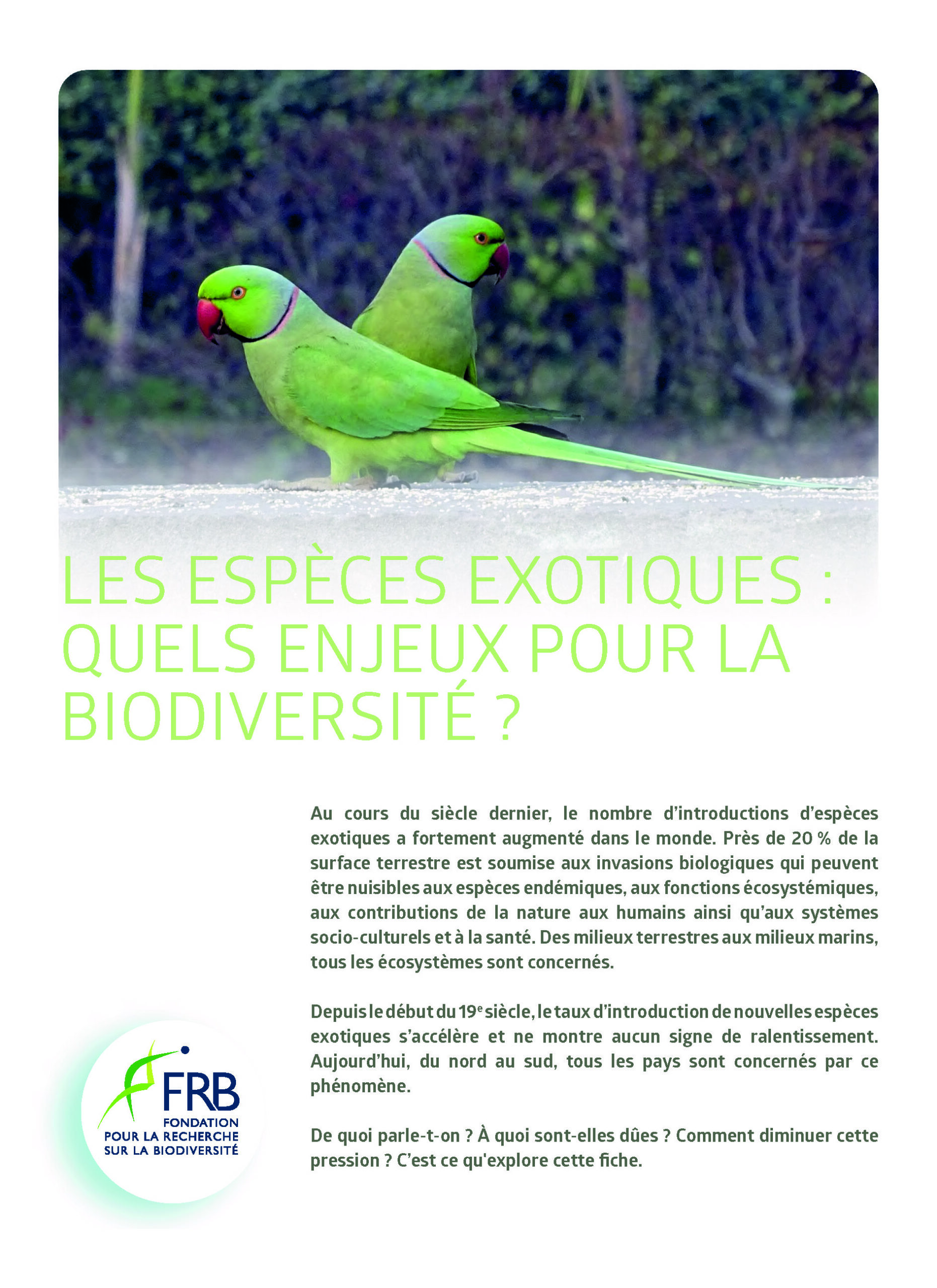 Les espèces exotiques : quels enjeux pour la biodiversité ?