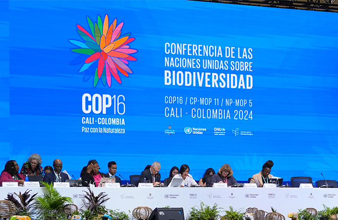 Regard de la FRB sur la Cop16 : des outils scientifiquement pertinents validés par le consensus politique