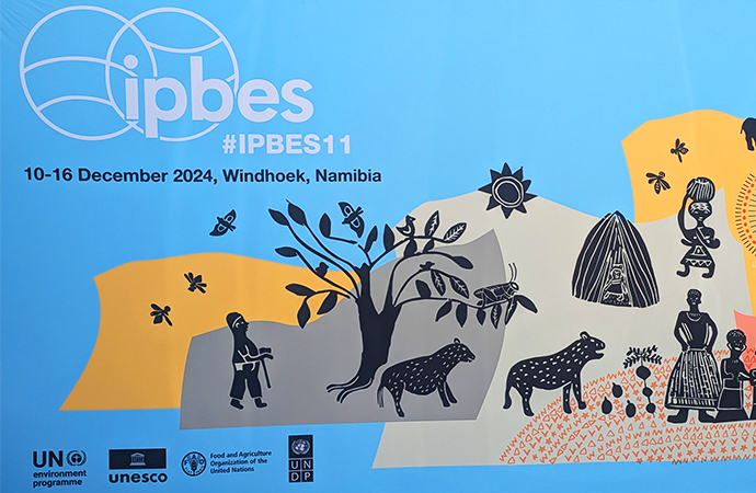 [#Ipbes11]  Au cœur de la 11e plénière