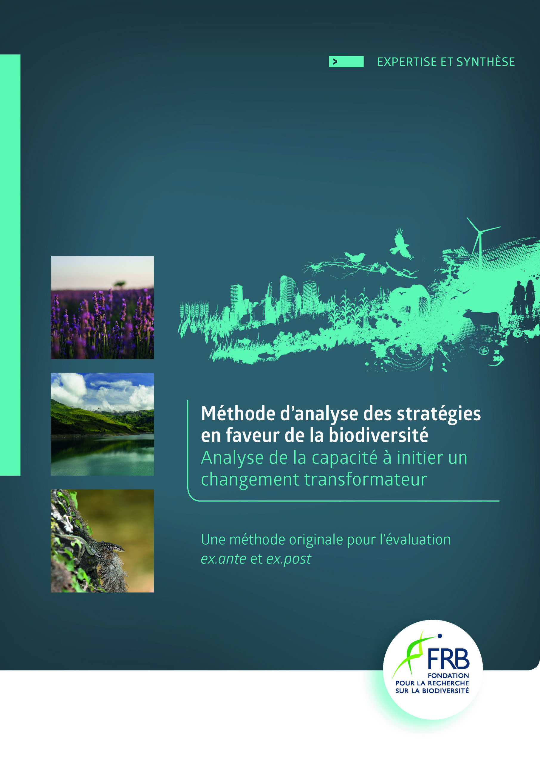 Méthode d’analyse des stratégies en faveur de la biodiversité