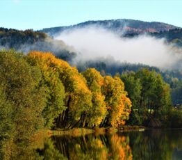 [Call for experts] Which practices are the most effective for biodiversity enhancement ? Your expertise is required !