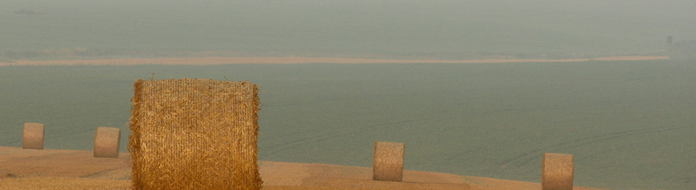 Pesticides en France : dix ans d’exposition aux substances actives