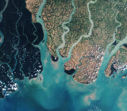 [Appel à projets Biodiversa+] Restauration de la fonctionnalité, de l’intégrité et de la connectivité des écosystèmes – BiodivConnect