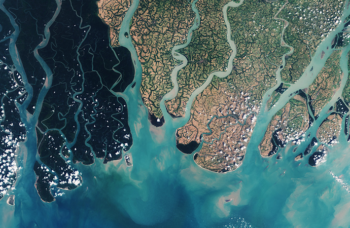 [Appel à projets Biodiversa+] Restauration de la fonctionnalité, de l’intégrité et de la connectivité des écosystèmes – BiodivConnect