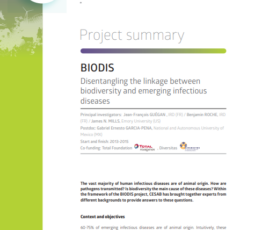 BIODIS | Disentangling the linkage between biodiversity and emerging infectious diseases