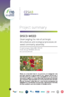 Disco-Weed | Assemblage des communautés adventices : entre processus écologiques et perturbations anthropiques