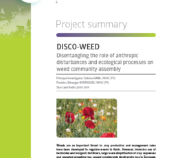 DISCO-WEED | Disentangling the role of anthropic disturbances and ecological processes on weed community assembly