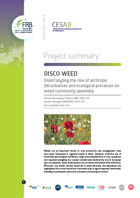 Disco-Weed | Assemblage des communautés adventices : entre processus écologiques et perturbations anthropiques