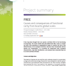 FREE 1 | Causes and consequences of functional rarity from local to global scales
