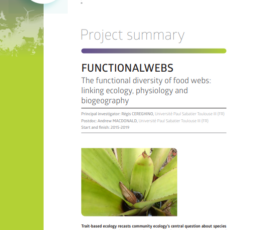 FUNCTIONALWEBS | The functional diversity of food webs: linking ecology, physiology and biogeography