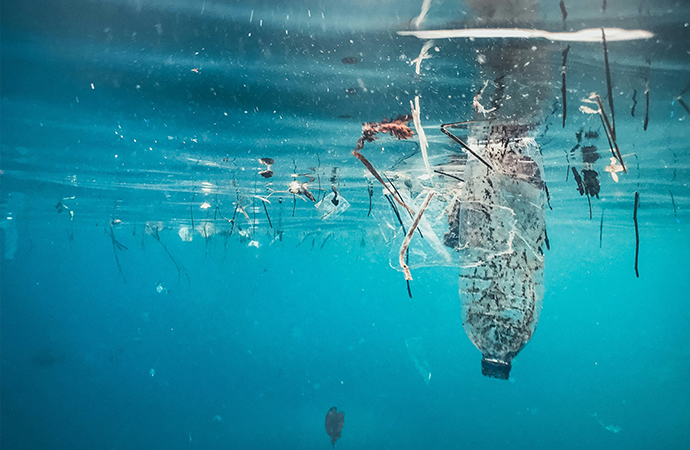 Le risque microbiologique des plastiques en mer