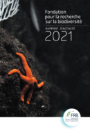 Rapport d’activité 2021