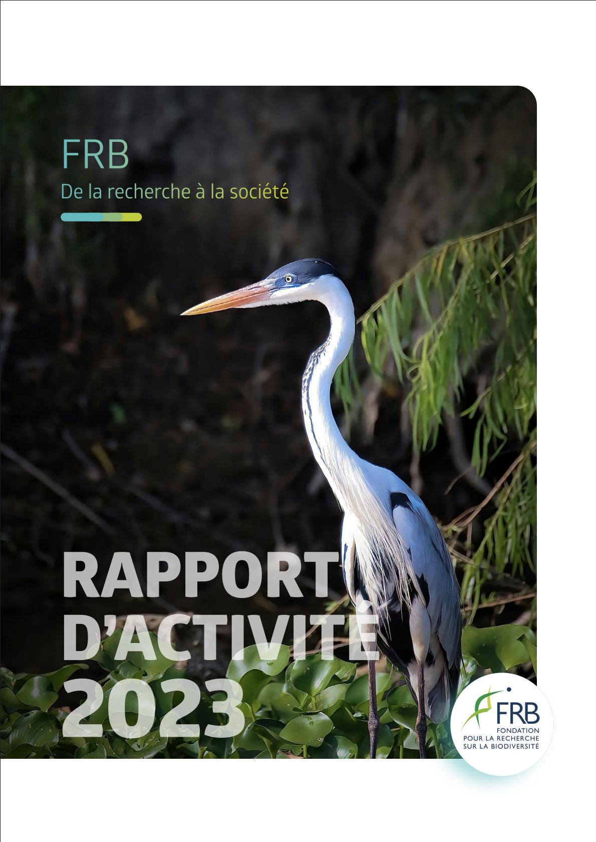 Rapport d’activité 2023