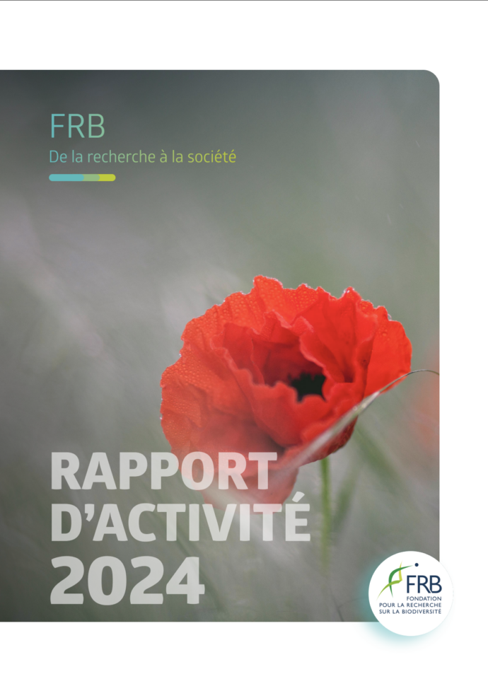 Rapports d’activité de la FRB