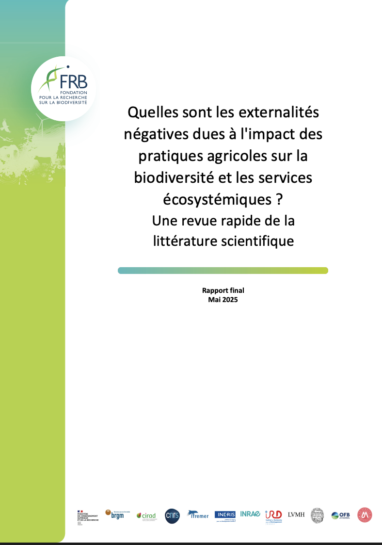 Quelles sont les externalités négatives dues à l’impact des pratiques agricoles sur la biodiversité et les services écosystémiques ? Une revue rapide de la littérature scientifique