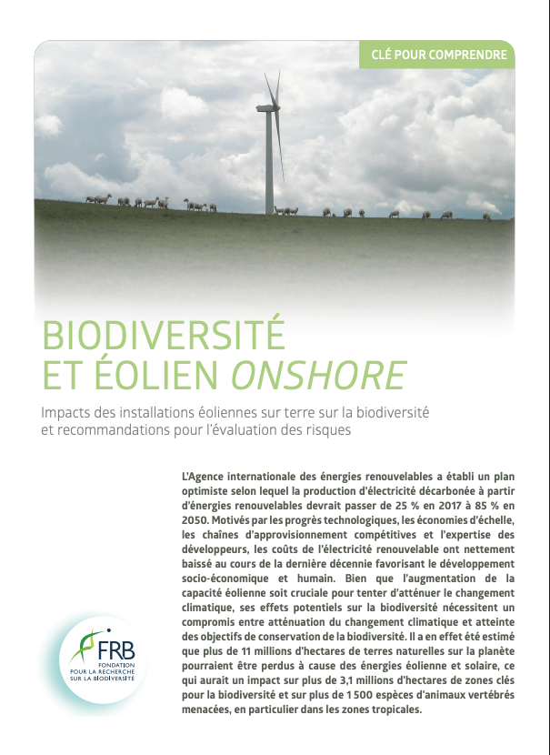 Impacts des installations éoliennes sur terre sur la biodiversité et recommandations pour l’évaluation des risques. Clé pour comprendre