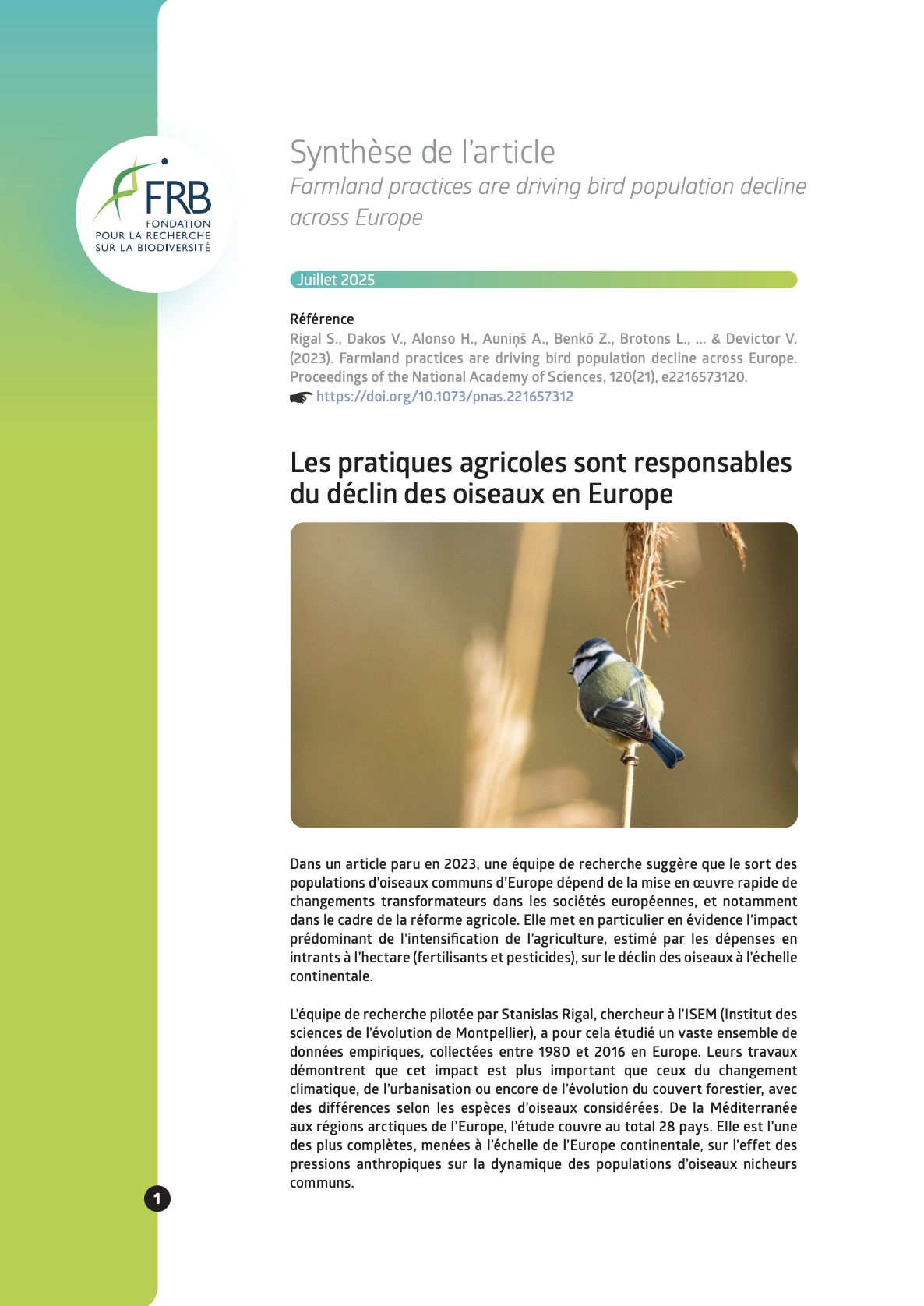 Les pratiques agricoles sont responsables du déclin des oiseaux en Europe