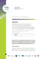 Geisha | Évaluation à l’échelle de la planète de l’impact des tempêtes sur les habitats et la structure des assemblages phytoplanctoniques d’eau douce