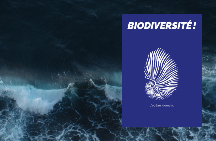 Biodiversité ! L’Océan, demain.