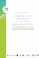 Impacts de l’éolien offshore sur la biodiversité et recommandations pour l’évaluation des risques. Synthèse de connaissances