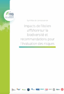 Impacts de l’éolien offshore sur la biodiversité et recommandations pour l’évaluation des risques. Synthèse de connaissances
