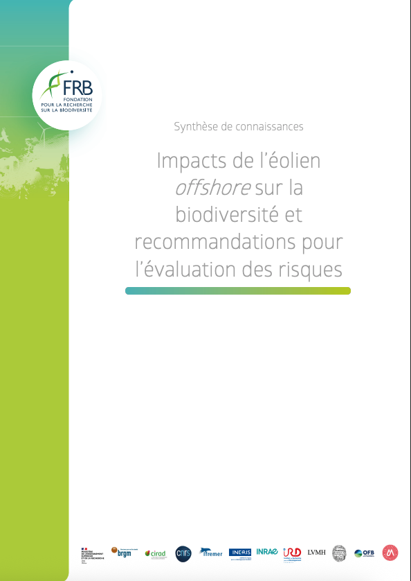 Impacts de l’éolien offshore sur la biodiversité et recommandations pour l’évaluation des risques. Synthèse de connaissances