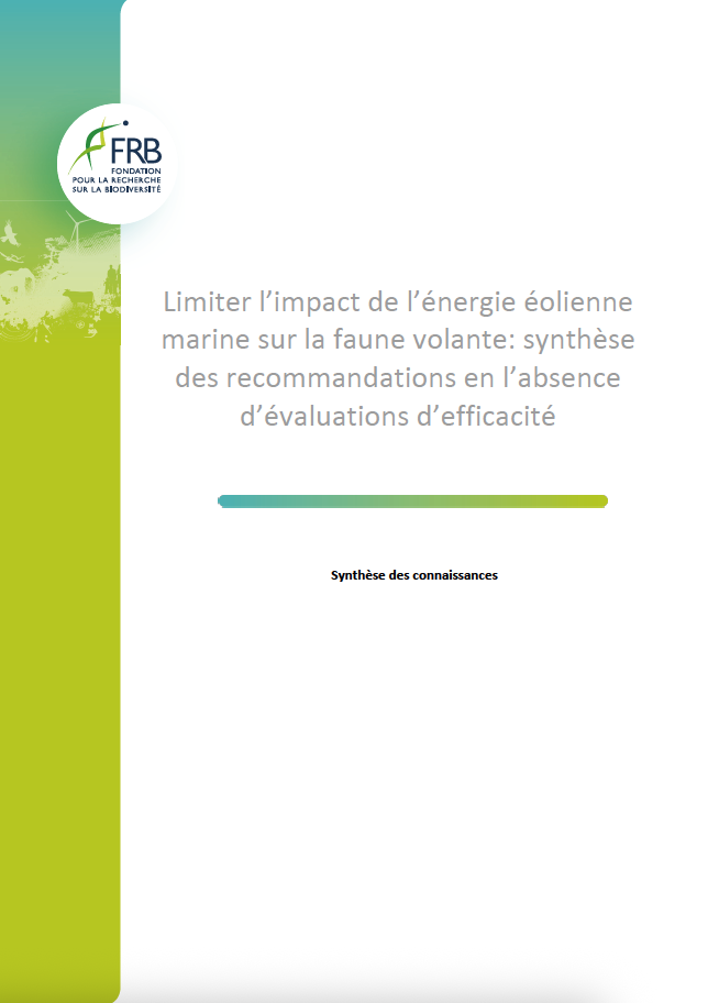 Limiter l’impact de l’énergie éolienne marine sur la faune volante: synthèse des recommandations en l’absence d’évaluations d’efficacité. Synthèse de connaissances